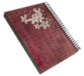 Girl's Diary.