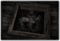 Peephole