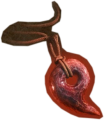 Thumbnail for version as of 20:08, 10 May 2026